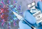 युवा वर्ग में कोरोना वैक्सीनेशन में लगेगा दिसंबर तक का समय