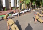 नेशनल डिफेंस एकेडमी पुणे में नेवी चीफ एडमिरल करमबीर सिंह ने कैडेट्स के साथ लगाए पुश अप्श, 140वें कोर्स की पासिंग आउट परेड को दी सलामी