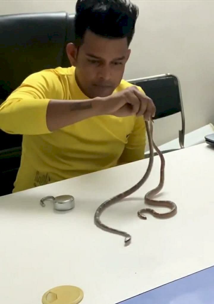 वन्य जीव रेस्क्यू के नाम पर युवक कर रहा सांपों के साथ स्टंट