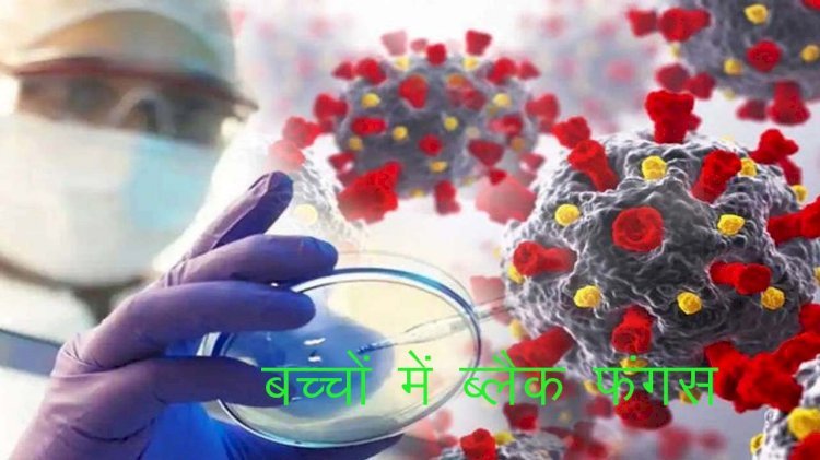 राजधानी के जेके लोन अस्पताल में 5 साल के बच्चे के ब्लैक फंगस की पुष्टि, बीकानेर के बाद अब भरतपुर के बच्चे में मिला ब्लैक फंगस