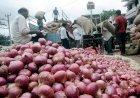 किसानों को प्याज के बाजार में दिख रहा बड़ा फायदा, अफगानिस्तान से प्याज भारत आना अब मुश्किल