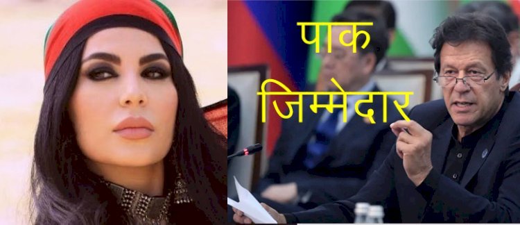 अफगान में बढ़ती हिंसा और मौजूदा हालात का जिम्मेदार पाकिस्ताान: अर्याना सईद