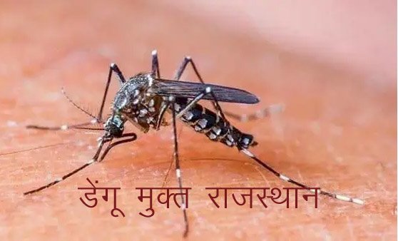 मौसमी बीमारियों पर काबू पाने के लिए चिकित्सा मंत्री ने प्रदेश में 20 अक्टूबर से ‘डेंगू मुक्त राजस्थान‘ अभियान चलाने के दिए निर्देश