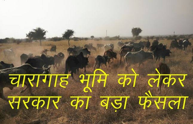 Rajasthan में चारागाह भूमि पर 30 वर्ष से घर बनाकर रह रहे परिवारों को मिलेगा अधिकतम 100 वर्गमीटर का पट्टा, सिरोही विधायक ने उठाई थी मांग