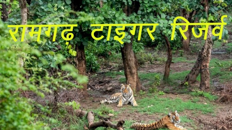 राजस्थान के बूंदी जिले में रामगढ़ विषधारी वन्यजीव अभयारण्य को टाईगर रिजर्व बनाए जाने की विधानसभा में सैद्धान्तिक स्वीकृति