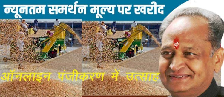 राजस्थान में पहली बार ऑनलाइन माध्यम से गेहूं खरीद प्रक्रिया शुरू, 3 दिनों में 300 से अधिक पंजीयन