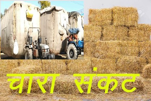 राजस्थान में पशुओं के चारे का संकट आने पर भाजपा प्रदेशाध्यक्ष पूनिया ने हरियाणा और मध्यप्रदेश के सीएम को लिखा पत्र