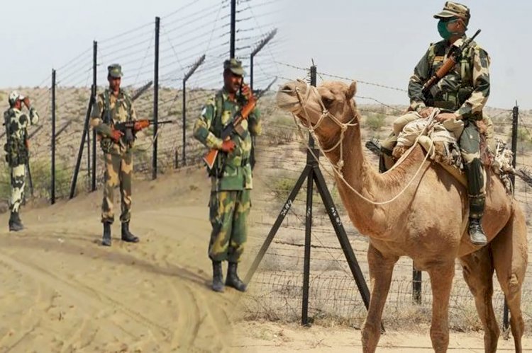 पाकिस्तानी सीमा पर BSF करेगी 12 बोर गन का इस्तेमाल! चेकपोस्ट और कैमरों से होगी निगरानी