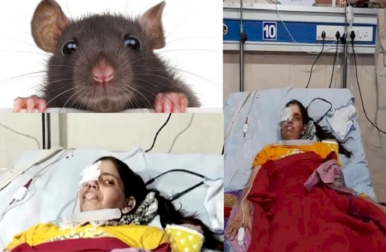 अस्पताल में इलाज की जगह मिला घाव! सोती महिला मरीज की पलक कुतर गए चूहे, कोटा में झकझोर देने वाली घटना