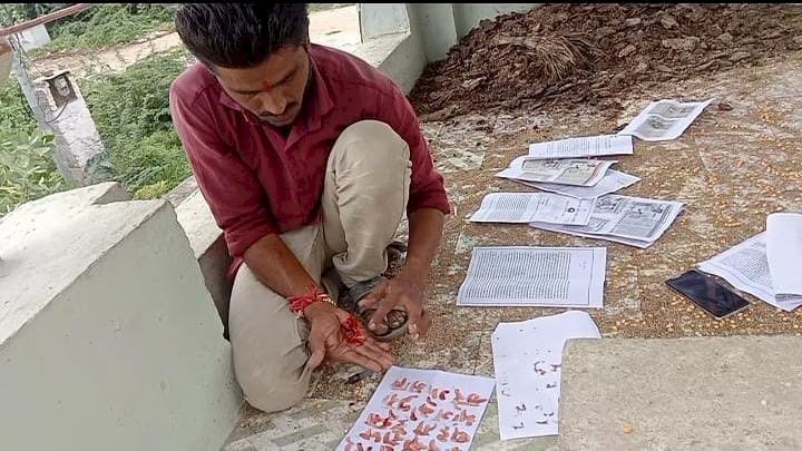 हाइवे पर वाहनों से टकराकर मरने वाले पशुओं के दर्द से कांप रहा इंसानी दिल