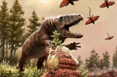 6 करोड़ साल के ग्लोबल वार्मिंग ने की सरीसृपों के विकास में मदद: हार्वर्ड स्टडी
