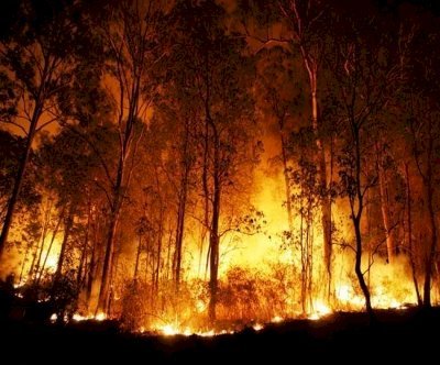 रूस में जंगल में लगी भयानक आग, 3 दिनों में 110,000 हेक्टेयर भूमि जली