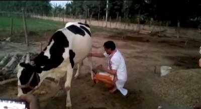 तेजस्वी भेड़ चराने वाले और नित्यानंद गाय चराने वाले :  भाजपा