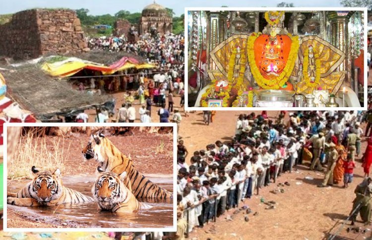 राजस्थान का ऐसा गणेश मंदिर जहां बाघ देते हैं पहरा! पूरे परिवार के साथ विराजते हैं भगवान गणपति