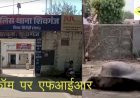सिरोही के शिवगंज पुलिस थाने में भैंस की मौत पर जोधपुर डिस्कॉम के खिलाफ एफआईआर दर्ज, प्रार्थी ने डिस्कॉम पर लापरवाही का लगाया आरोप, मांगा मुआवजा